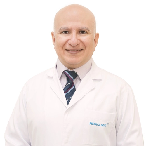 A. Professor Sherif Elnikety